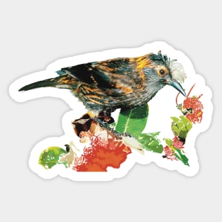 ‘Ākohekohe, Hawaiian Bird #2 Sticker